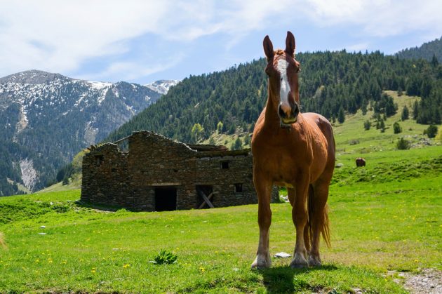 catalan pyrenees