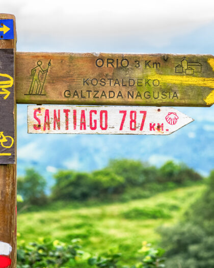 camino de santiago